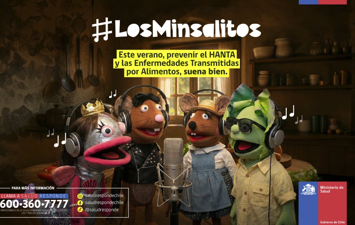 Caso Minsal — Los Minsalitos